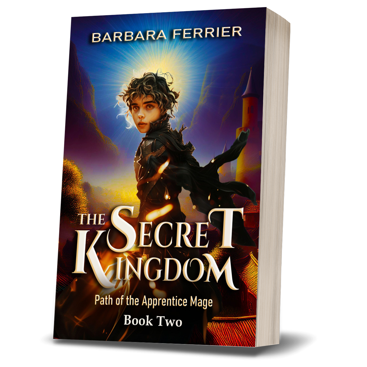Secret Kingdom Paperback