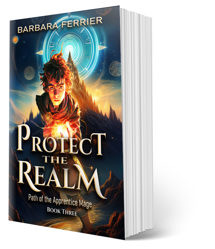 Protect the Realm Paperback