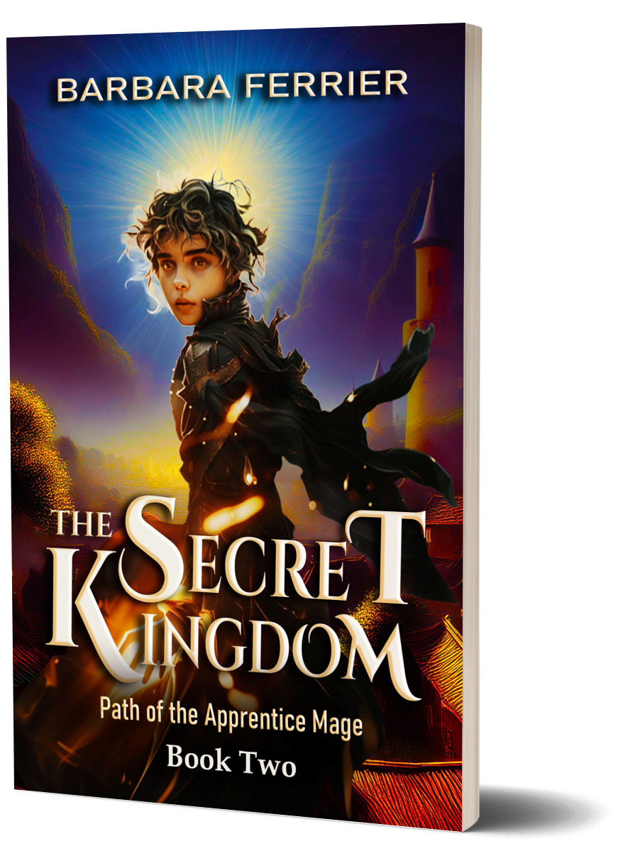 Secret Kingdom Paperback